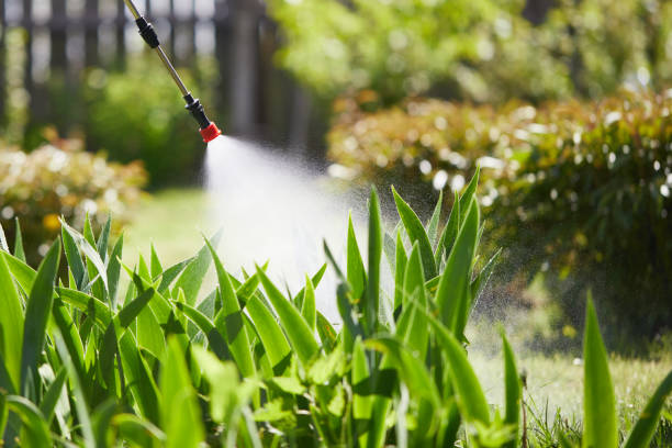 24/7 Emergency Ant Control experts in Ashton, ID